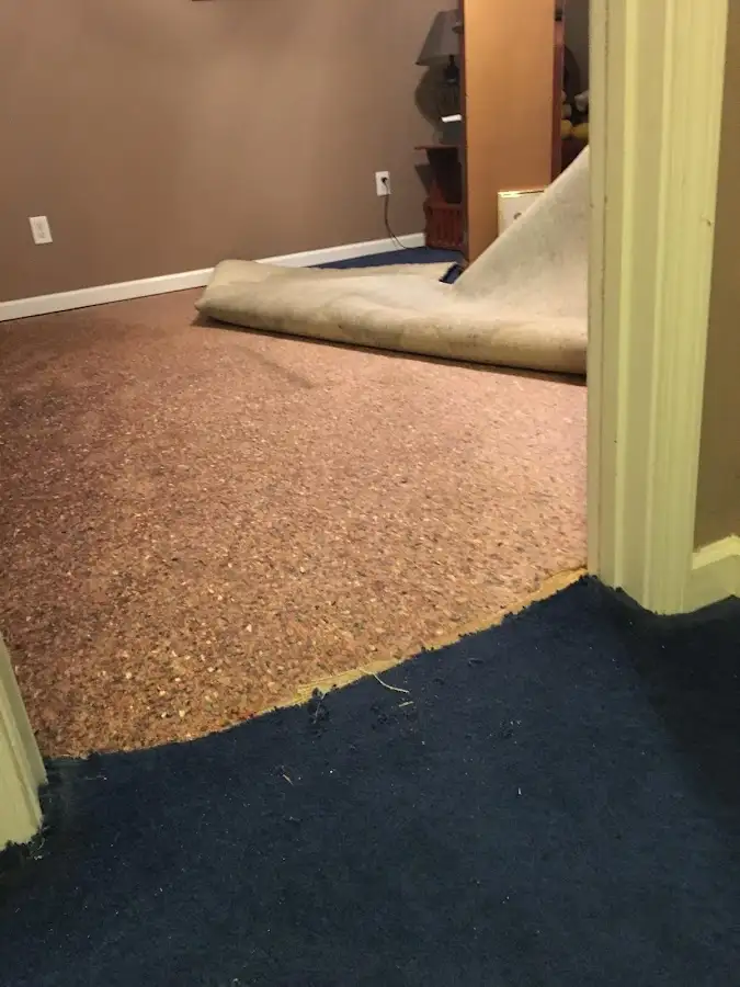 Carpet pad removal revealing water damage during Drying & Dehumidification in Ballwin