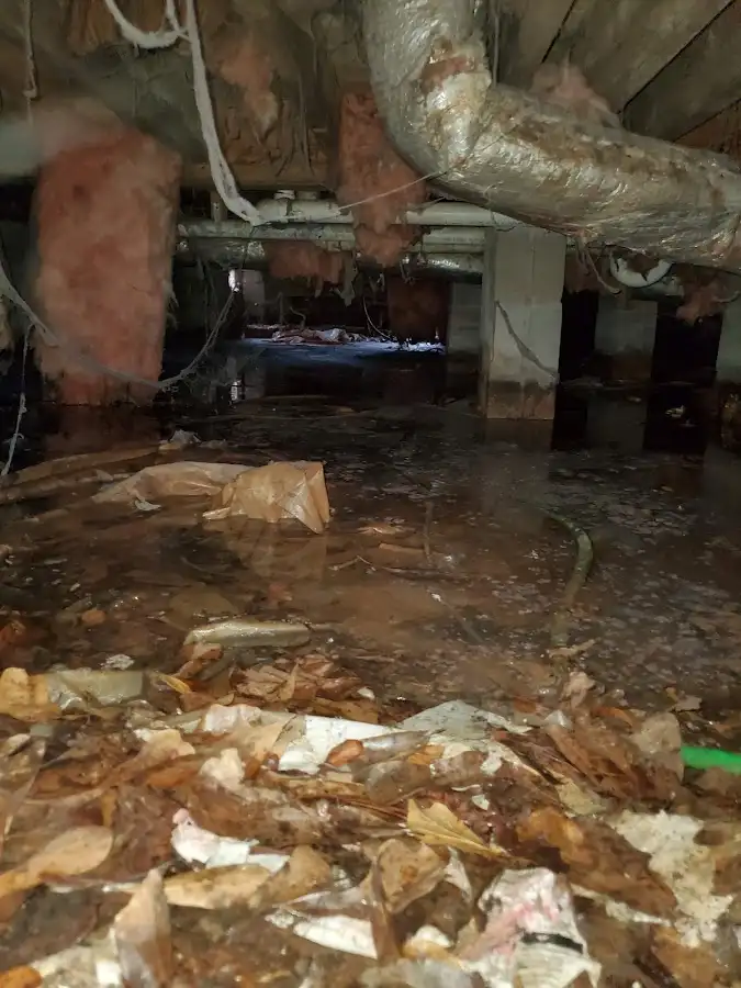 Crawl space flood assessment for Leak Detection & Repair in Ballwin